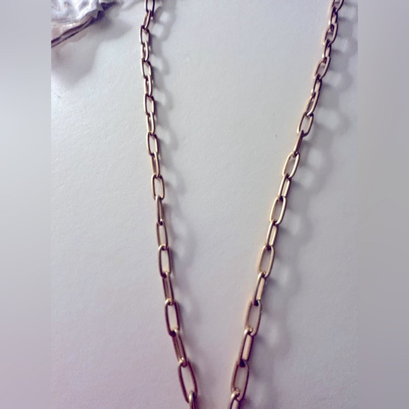 CANVAS NWT necklace Picture Jasper stone Heart matte paperclip  gold chain 18” - Picture 4 of 11